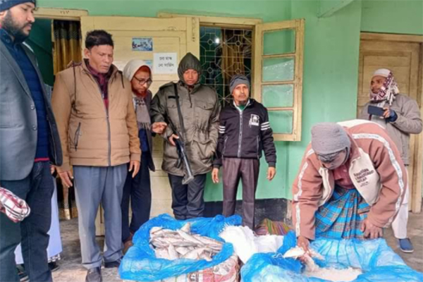 বোয়ালমারীতে ১১০ কেজি জাটকা জব্দ করে এতিমখানায় বিতরণ 