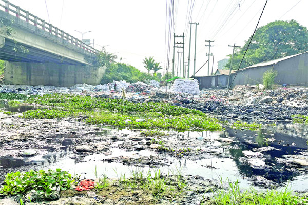 দখল-দূষণে মরছে বংশী