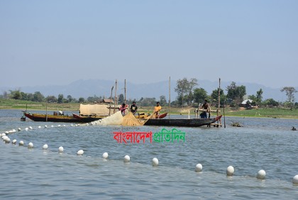 রাঙামাটি কাপ্তাই হ্রদে স্থবির মৎস্য উৎপাদন, ব্যবসায় ধস