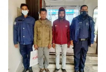 বোয়ালমারীতে গাঁজা গাছসহ ২ মাদক ব্যবসায়ী আটক