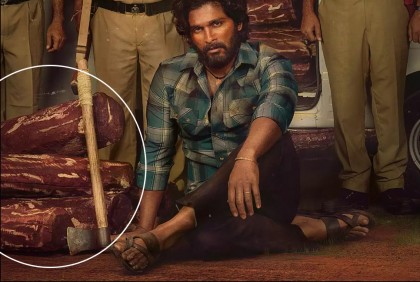 ‘পুষ্পা’র সাফল্যে আলোচনার তুঙ্গে রক্তচন্দন কাঠ : কেন এত দাম, কি এর গুণ?