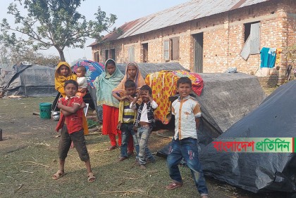 জীবিকার সন্ধানে পঞ্চগড়ে এসে বিপাকে বেদেরা 