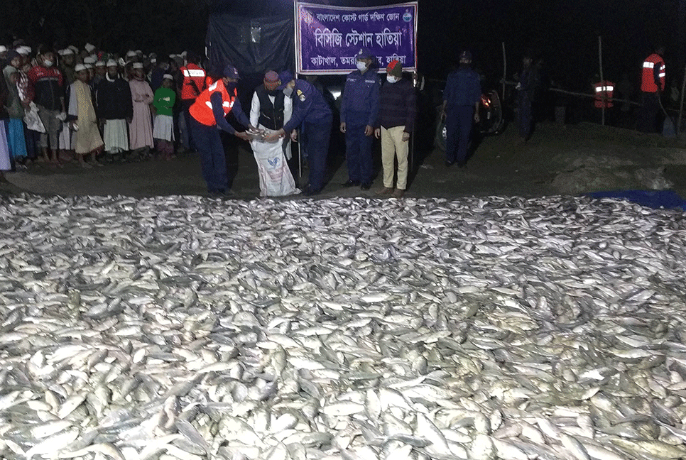 হাতিয়ায় ১৪০ মণ জাটকা জব্দ 