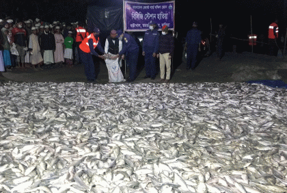 হাতিয়ায় ১৪০ মণ জাটকা জব্দ 