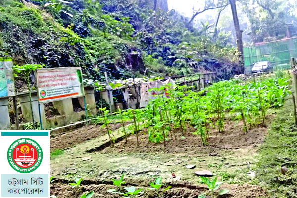 অরক্ষিত পাহাড় রক্ষার প্রকল্প 