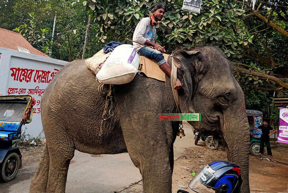 কালিয়াকৈরে হাতি দিয়ে টাকা আদায়!