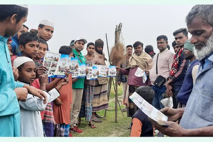 চলনবিলের পাখি বাঁচাতে ব্যতিক্রম উদ্যোগ