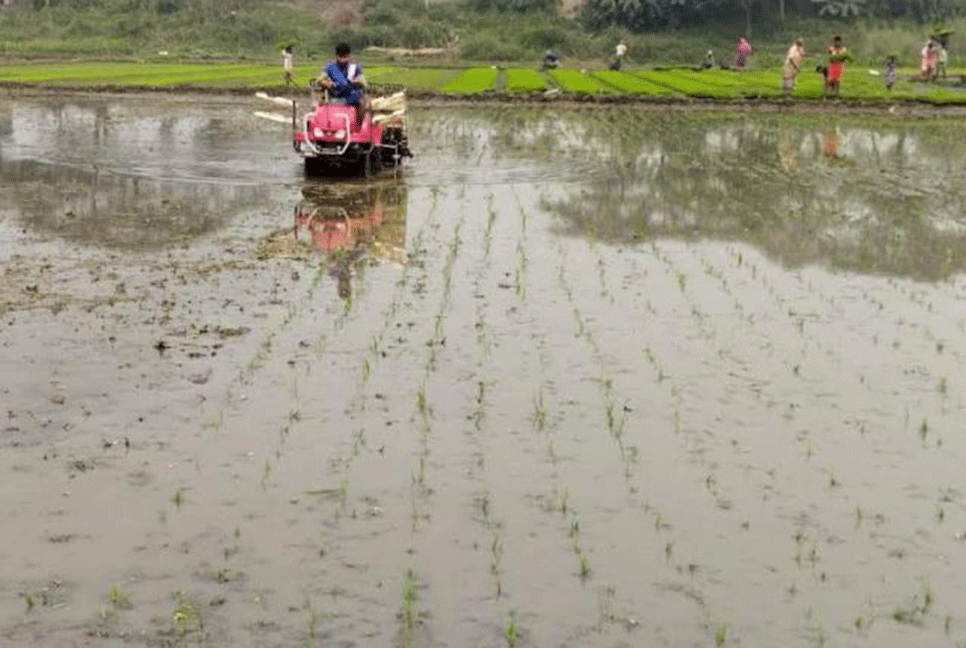 জনপ্রিয় হচ্ছে সমলয় পদ্ধতিতে ধান চাষ