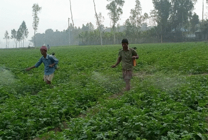 কুড়িগ্রামে শৈত্যপ্রবাহে বিপর্যস্ত জনজীবন
