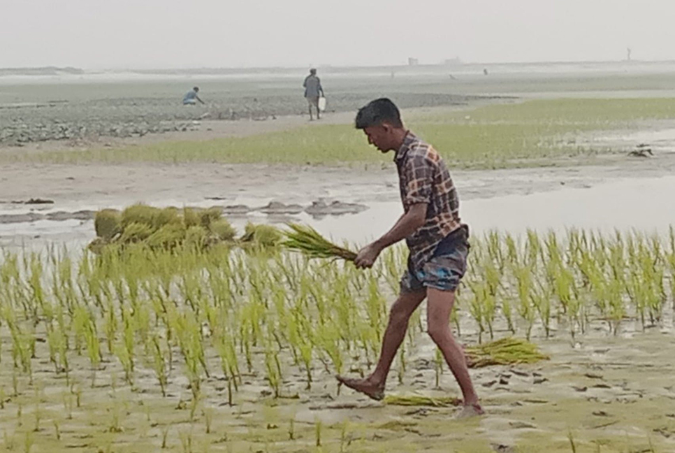 কনকনে শীত আর হিমেল হাওয়ায় বিপর্যস্ত জনজীবন, দুশ্চিন্তায় কৃষক