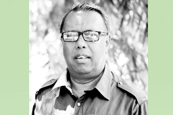 ব্ল্যাক সোলজার ফ্লাই নিয়ে বহুমুখী গবেষণা