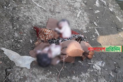 ব্রিজের নিচে কার্টন বক্সে দুই নবজাতকের মরদেহ!