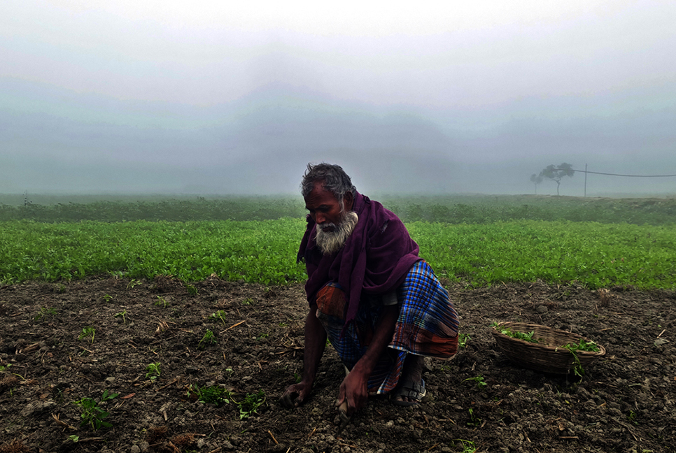 শৈত্যপ্রবাহ অব্যাহত থাকায় দিনাজপুরে ব্যাহত জীবনযাত্রা