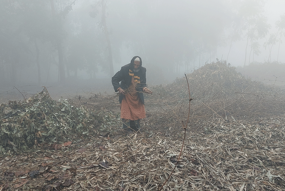 পঞ্চগড়ে শীতে বিপর্যস্ত জনজীবন
