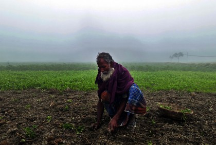 শৈত্যপ্রবাহ অব্যাহত থাকায় দিনাজপুরে ব্যাহত জীবনযাত্রা