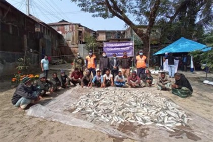 নিষেধাজ্ঞা অমান্য করে জাটকা ধরার অপরাধে ১৪ জেলেকে আটক, জরিমানা 