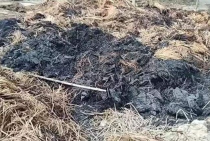 বউয়ের সাথে দ্বন্দ্ব, শ্বশুরের ২৭৫ আঁটি ধান পোড়ালেন জামাই!