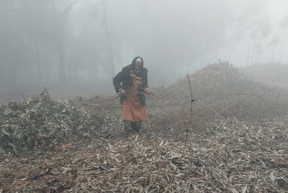 পঞ্চগড়ে শীতে বিপর্যস্ত জনজীবন