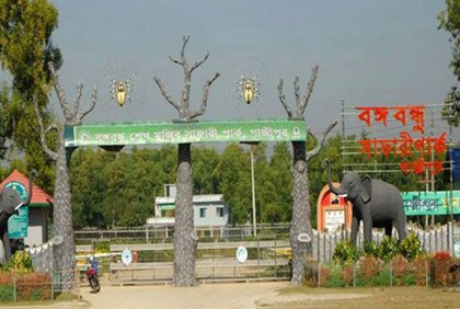 সাফারি পার্কের ভারপ্রাপ্ত কর্মকর্তা ও চিকিৎসকে বদলি