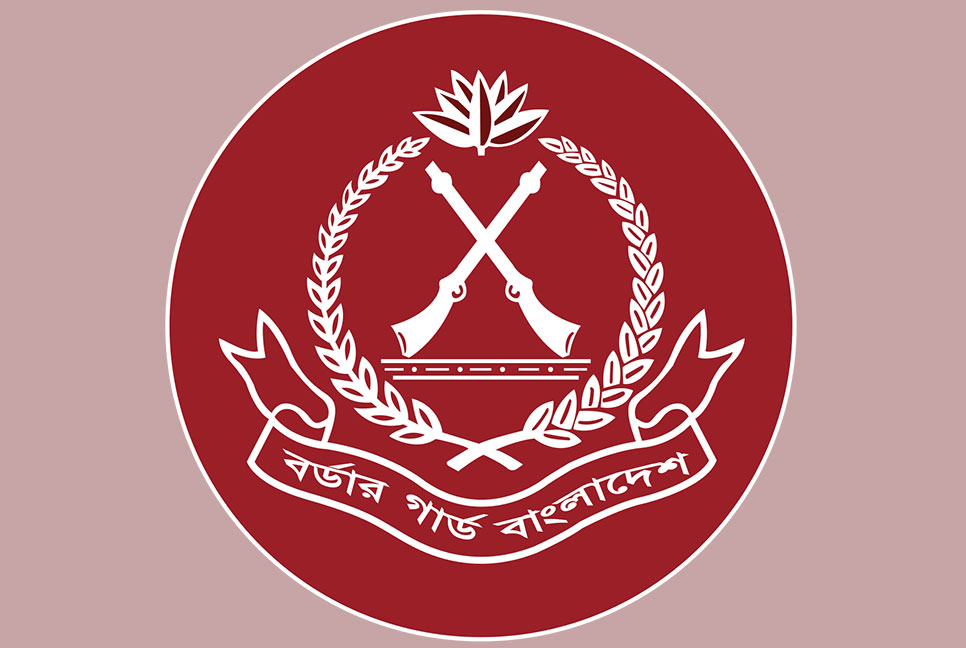 বিজিবির অভিযানে একমাসে ২১১ কোটি ৬৭ লাখ টাকার মাদক জব্দ