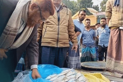 বোয়ালমারীতে ৬৫ কেজি জাটকা জব্দ