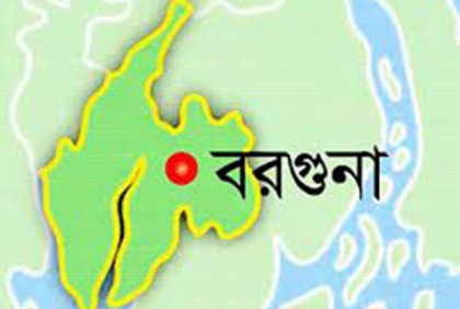 মৌচাকে ঢিল, নারী ও শিশুসহ আহত ১৫