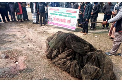 ফুলবাড়ীতে নিষিদ্ধ চায়না দুয়ারী 
জাল জব্দ