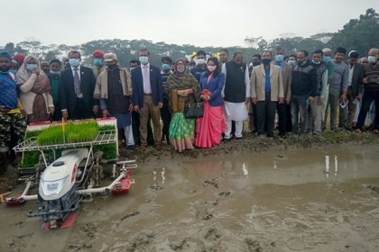 ঝালকাঠিতে সমলয় পদ্ধতিতে বোরো ধানের চারা রোপণ কর্মসূচীর উদ্বোধন 