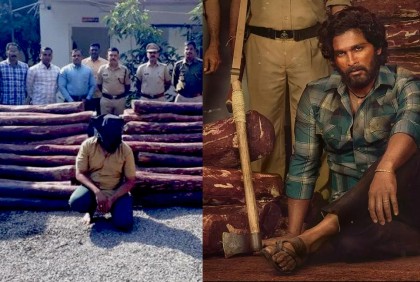 ‘পুষ্পা’র মতো রক্তচন্দন কাঠ পাচার করতে গিয়ে ধরা