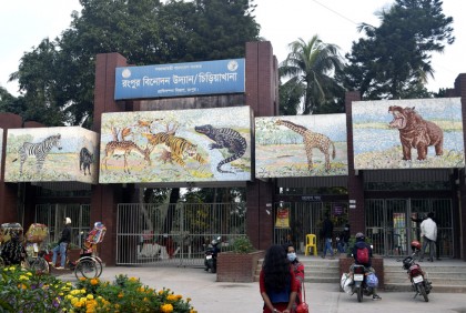 রংপুর চিড়িয়াখানায় বাঘিনীর মৃত্যু

