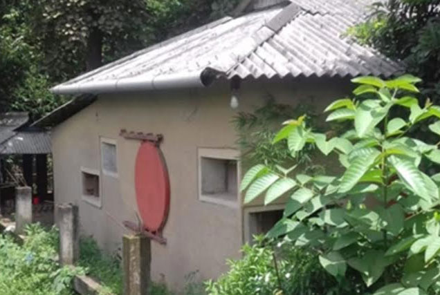 দুই স্বামী এক বধূ!