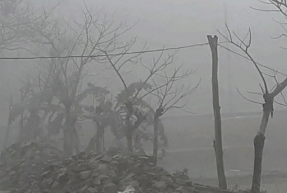 কুড়িগ্রামে শৈত্যপ্রবাহে বিপর্যস্ত জনজীবন