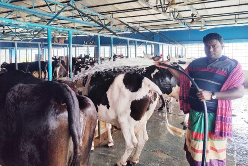 গরুর খামারে অনুকরণীয় দৃষ্টান্ত নাছিরের