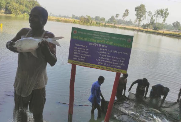 সমাজভিত্তিক মাছ চাষে সফলতা