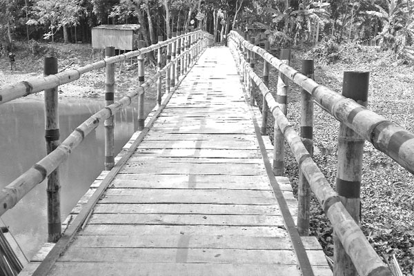 বাঁশের সেতুই ভরসা