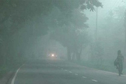 নাটোরে ঘন কুয়াশায় বিপর্যস্ত জনজীবন 