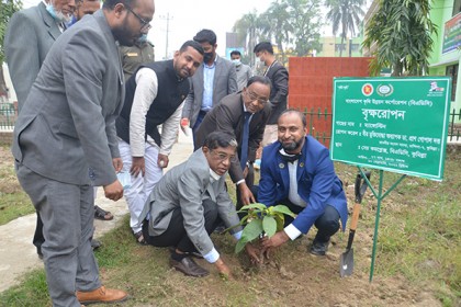 কুমিল্লা বিএডিসি সেচ কমপ্লেক্সে বৃক্ষরোপণ