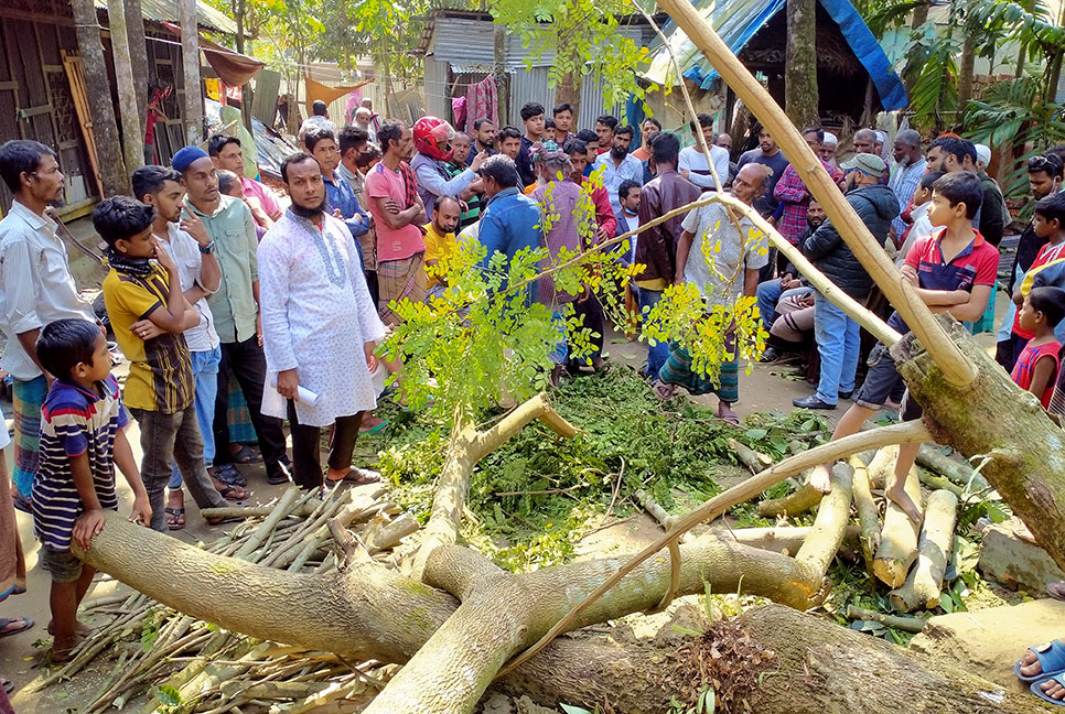 লক্ষ্মীপুরে গাছের নিচে চাপা পড়ে শিশুর মৃত্যু, আহত ৪