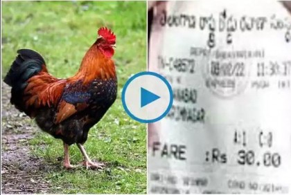 সরকারি বাসে মোরগ ওঠায় ৩৪ টাকা জরিমানা! (ভিডিও)