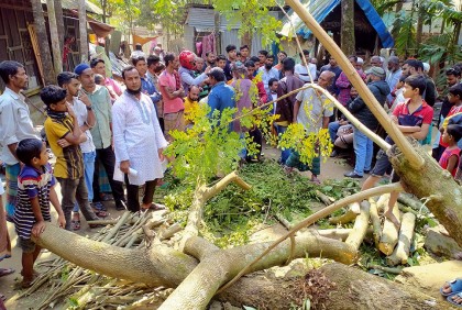 লক্ষ্মীপুরে গাছের নিচে চাপা পড়ে শিশুর মৃত্যু, আহত ৪
