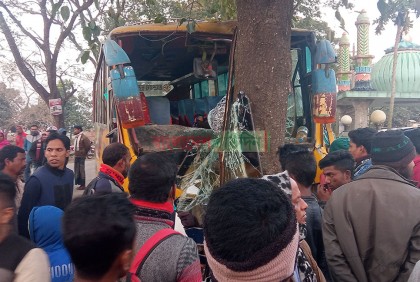 গাছের সাথে যাত্রীবাহী বাসের ধাক্কা, চালকসহ আহত ১৬