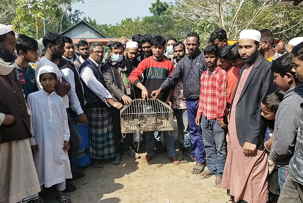 মাছ মনে করে অজগর সাপ ধরলেন স্থানীয়রা, অতঃপর...