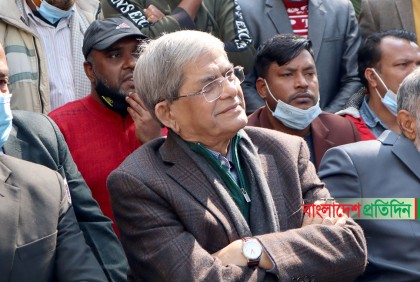 সব ব্যর্থতার দায় আওয়ামী লীগের: মির্জা ফখরুল