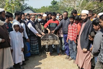 মাছ মনে করে অজগর সাপ ধরলেন স্থানীয়রা, অতঃপর...