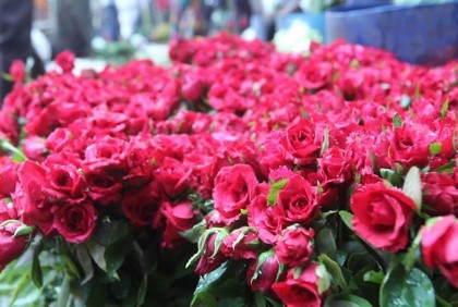 শাহবাগ থেকে ফুল কিনে বাসায় ফেরা হলো না দিপুর