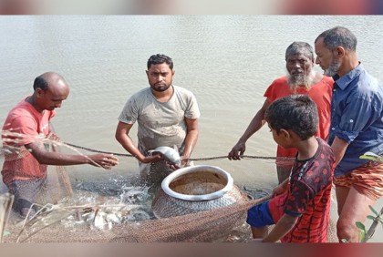মাছ চাষে সফলতার মুখ দেখছেন ফরহাদ