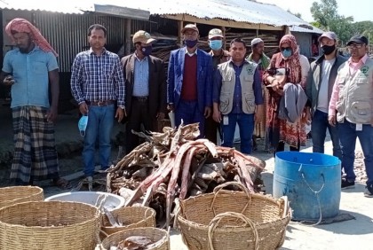 কলাপাড়ায় পাঁচ শুঁটকি ব্যবসায়ীকে কারাদণ্ড