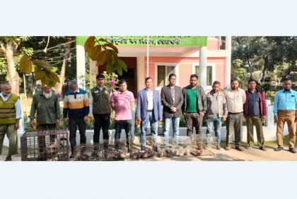 বেগমগঞ্জে পাখি উদ্ধার করে খোলা আকাশে অবমুক্ত 