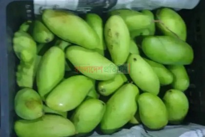 মিয়ানমার থেকে টেকনাফ স্থলবন্দর দিয়ে কাঁচা আম আমদানি