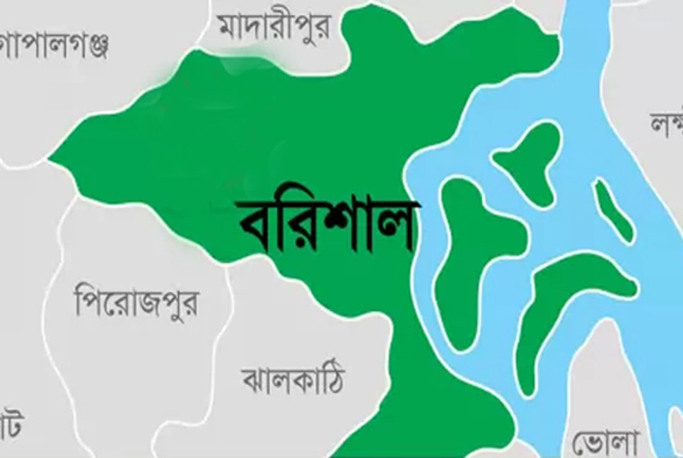 যুব ও ছাত্রলীগের হামলায় ৭ বিএনপি নেতাকর্মী আহত